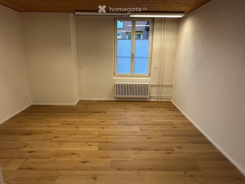 Vermiete neu renovierte 2,5 Zimmer Wohnung (1)