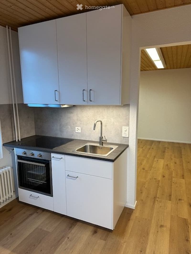 Vermiete neu renovierte 2,5 Zimmer Wohnung (3)