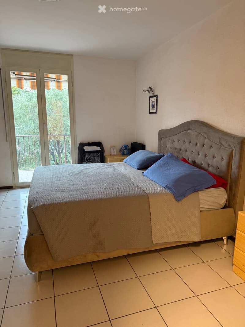 Subentrante per ampio appartamento con giardino privato (1)