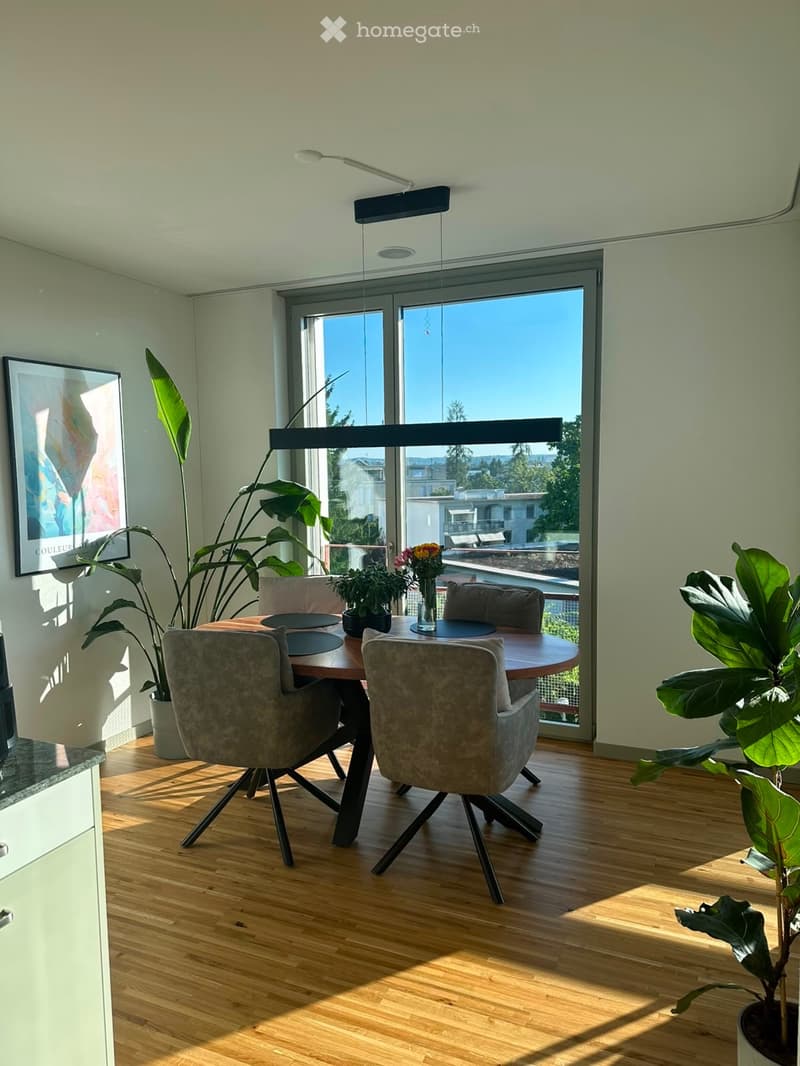 Moderne 3.5-Zimmer-Wohnung im Neubau in Dübendorf (1)