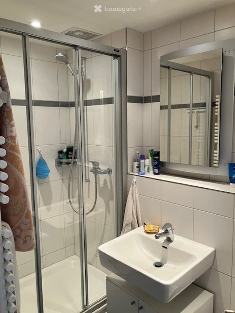 Ruhiges Zimmer zu vermieten (5)
