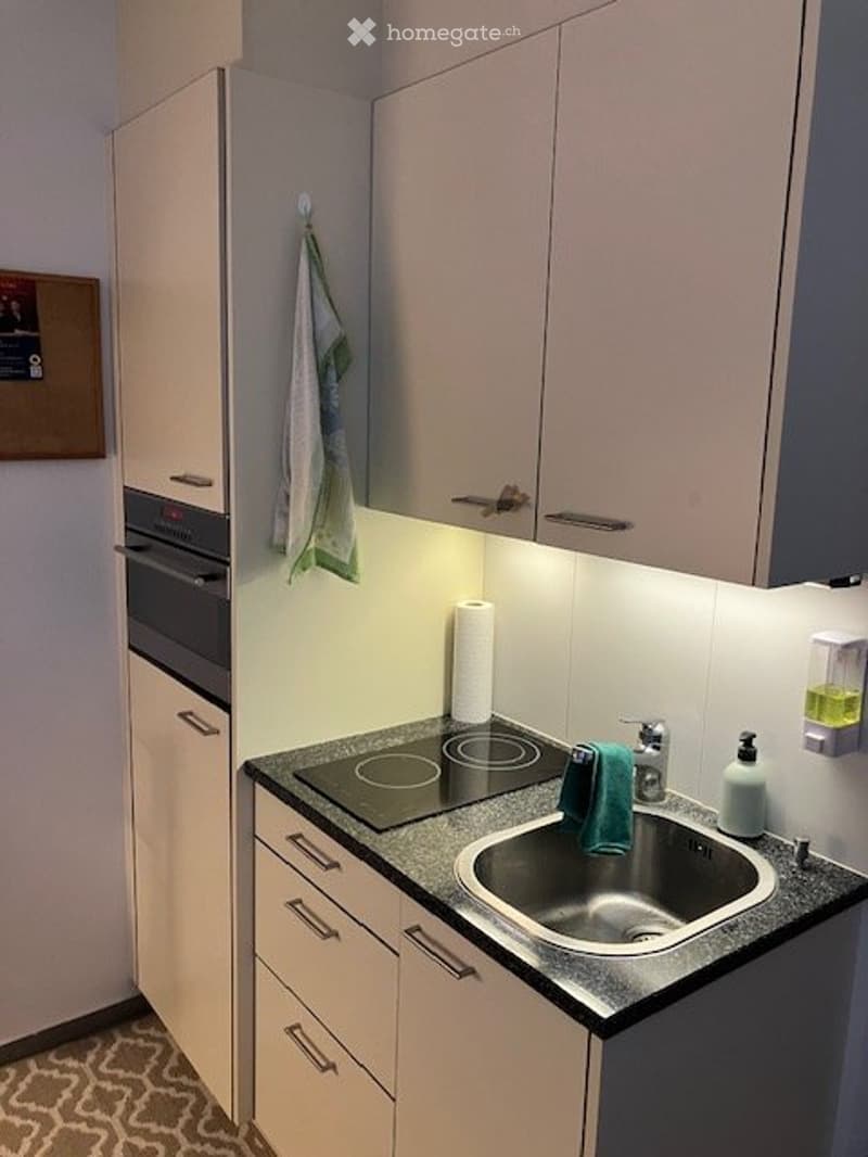 Ruhiges Zimmer zu vermieten (3)