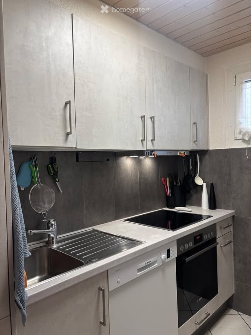 Spacieux 2 pièces avec terrasse à La Coudre, Neuchâtel (3)