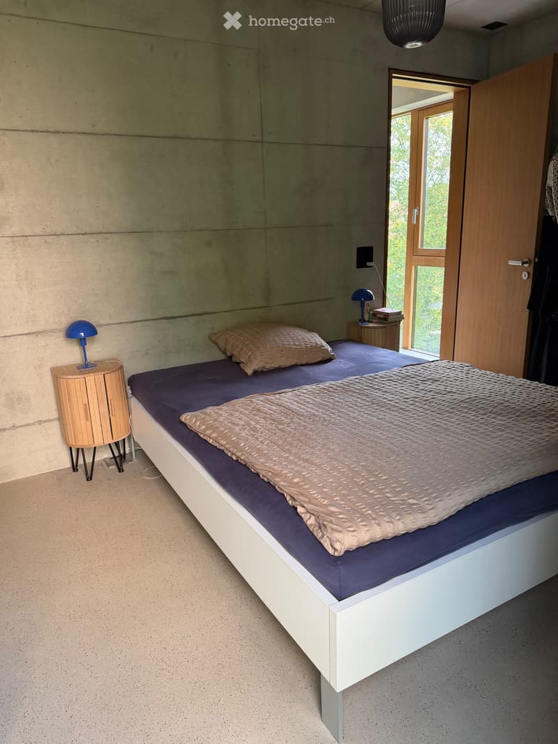 Untervermietung 3.5-Zimmerwohnung im Kreis 7, Zürich (2)