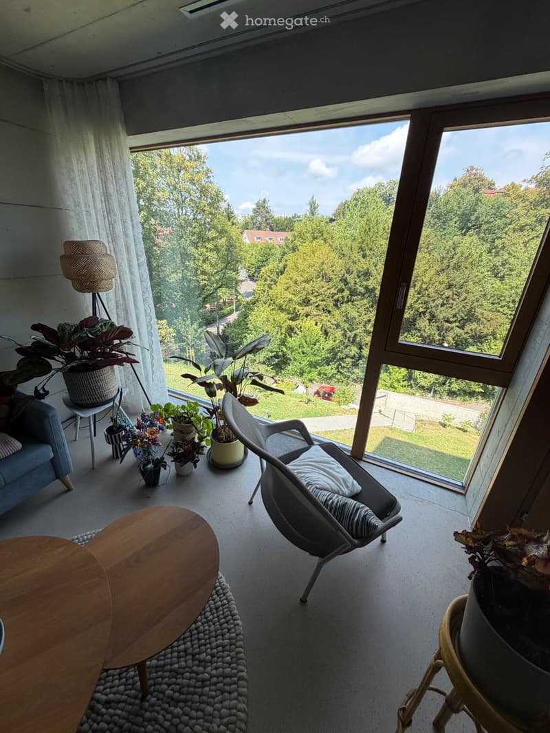 Untervermietung 3.5-Zimmerwohnung im Kreis 7, Zürich (4)