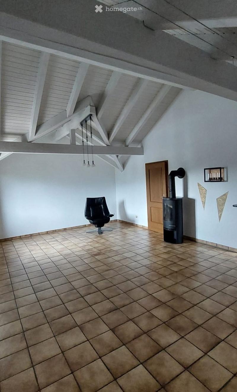 Sehr grosse Dachwohnung, Hausteil zu vermieten (4)