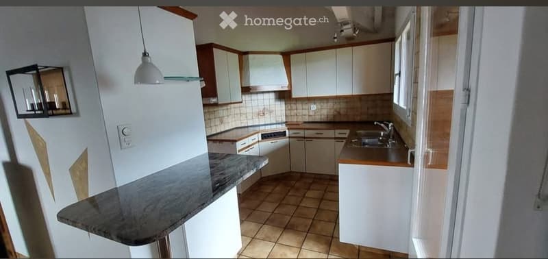 Sehr grosse Dachwohnung, Hausteil zu vermieten (5)
