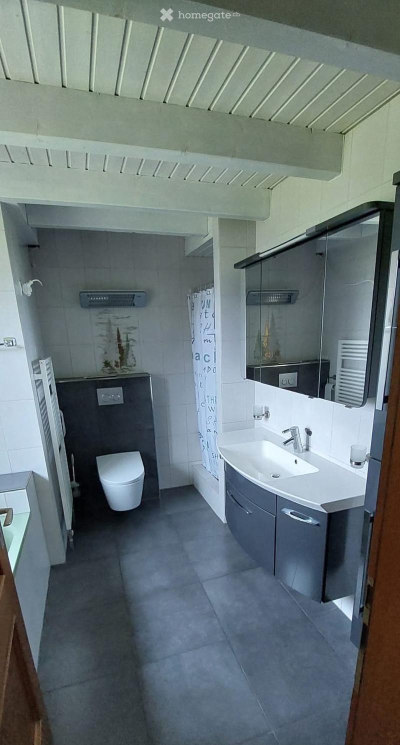 Sehr grosse Dachwohnung, Hausteil zu vermieten (3)