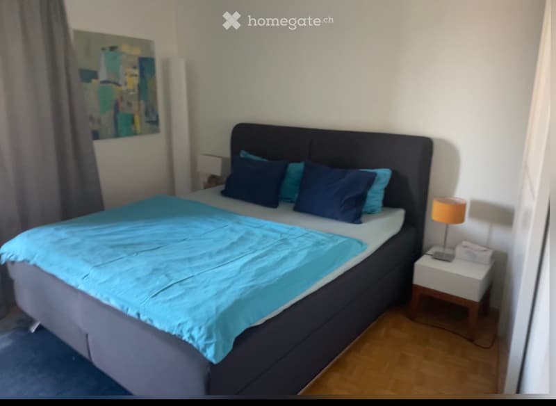 3.5 Zi Whg. Zwischenmiete ab 20.9-30.11 (1)