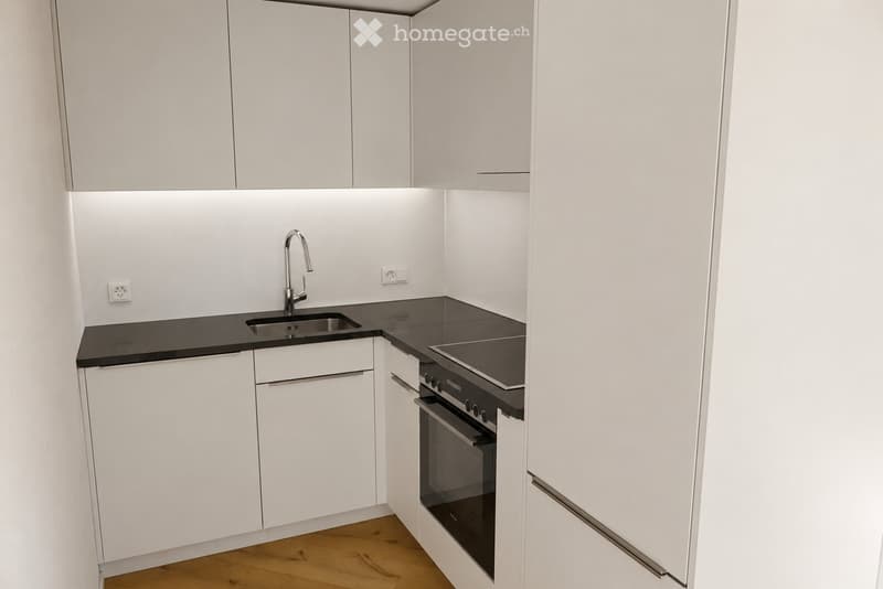 Moderne 2.5-Zimmer-Wohnung mit Bergblick in Haag (5)