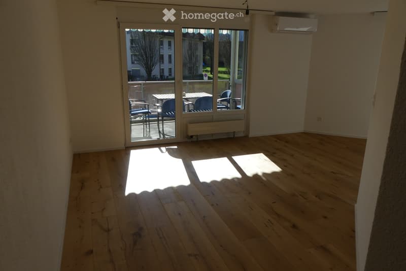 Moderne 2.5-Zimmer-Wohnung mit Bergblick in Haag (4)