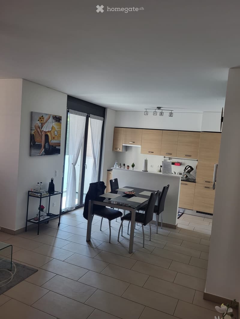 Appartamento a Lugano per affitto breve (5)