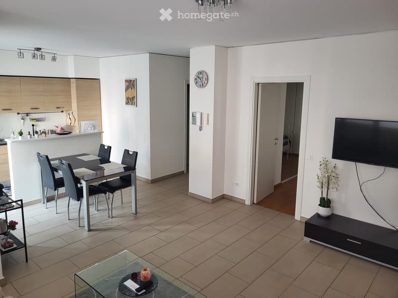 Appartamento a Lugano per affitto breve (3)