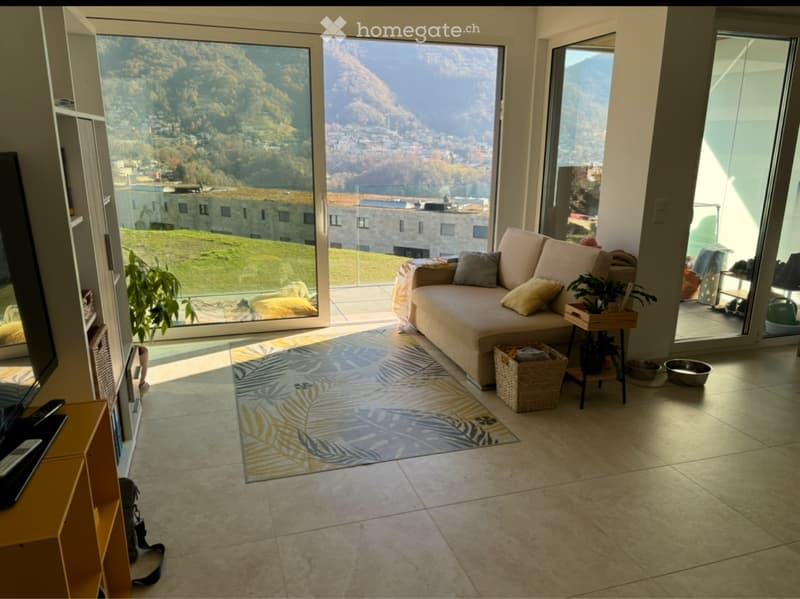 CERCASI Subentrante - 2.5 LOCALI CON VISTA LAGO (2)