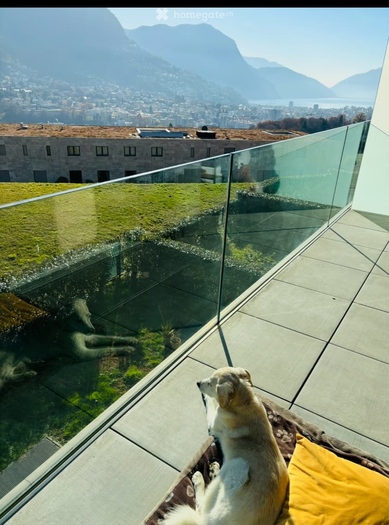 CERCASI Subentrante - 2.5 LOCALI CON VISTA LAGO (1)
