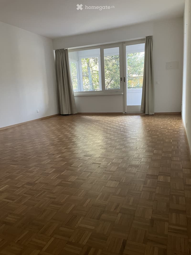 AFFITTASI SPAZIOSO 1.5 LOCALI vicino EOC LUGANO (1)