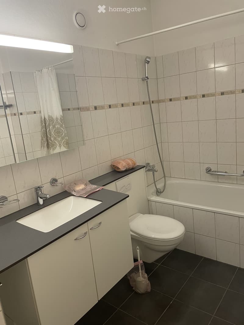 AFFITTASI SPAZIOSO 1.5 LOCALI vicino EOC LUGANO (4)