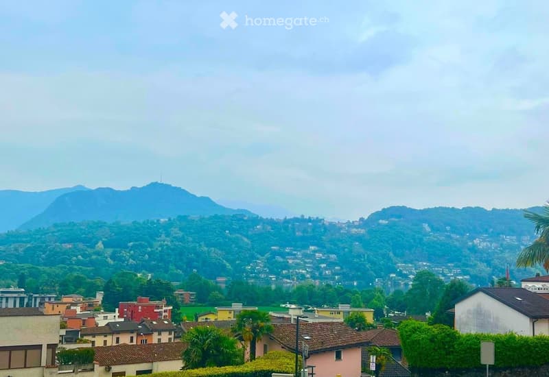 DISPONIBILE DA SETTEMBRE - 2.5 locali moderno ad Agno (8)