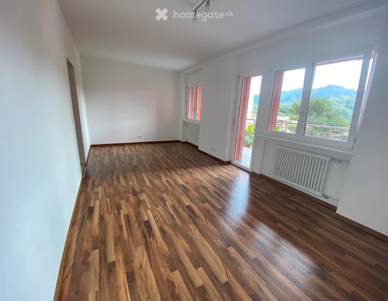 DISPONIBILE DA SETTEMBRE - 2.5 locali moderno ad Agno (2)