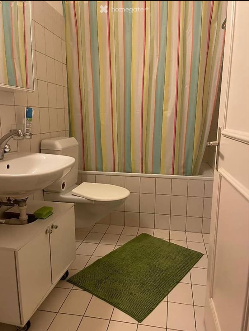 schöne 1.5 Zimmer Wohnung im Herzen Zürich (4)
