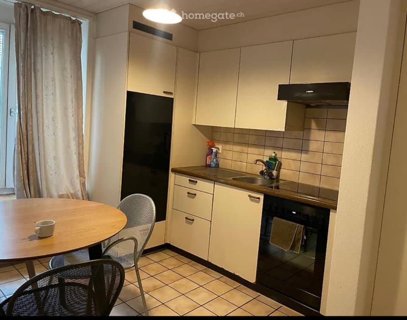 schöne 1.5 Zimmer Wohnung im Herzen Zürich (2)