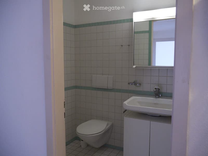 * 3,5 Zimmer-Wohnung in Rheinnähe * (5)