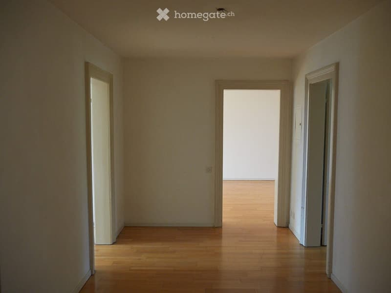 * 3,5 Zimmer-Wohnung in Rheinnähe * (3)
