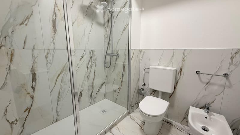4.5 locali ristrutturato in affitto a Coldrerio (8)
