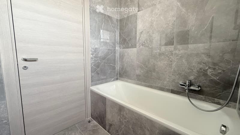 4.5 locali ristrutturato in affitto a Coldrerio (10)
