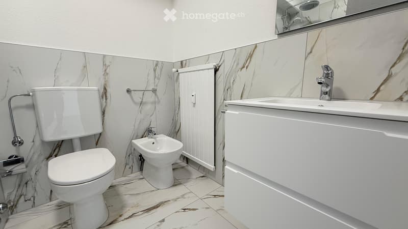 4.5 locali ristrutturato in affitto a Coldrerio (7)