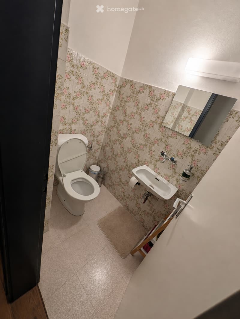 Cercasi subentrante per 3.5 a Giubiasco (2)