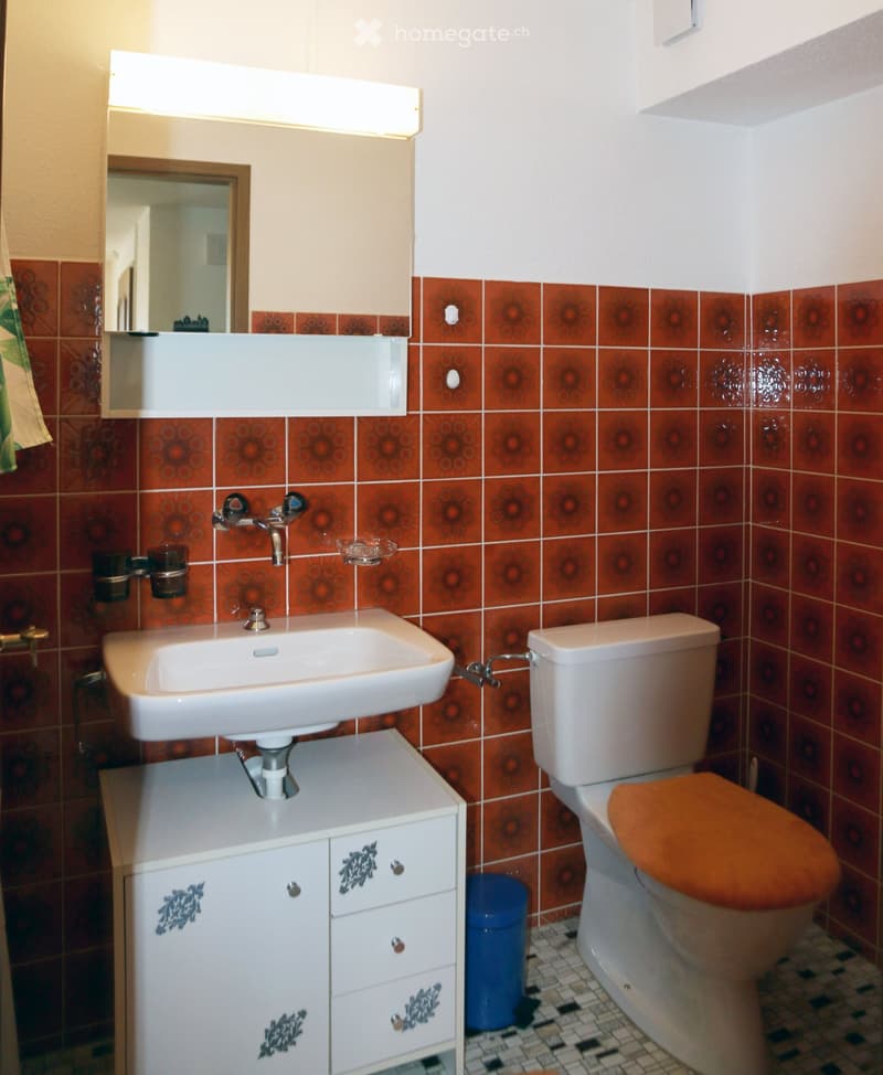Zu vermieten: Schöne, helle 2.5-Zi.-Wohnung in Lain (5)