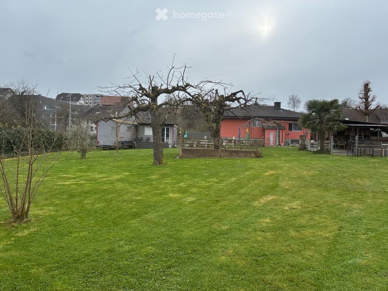 Einfamilienhaus mit super Garten (2)
