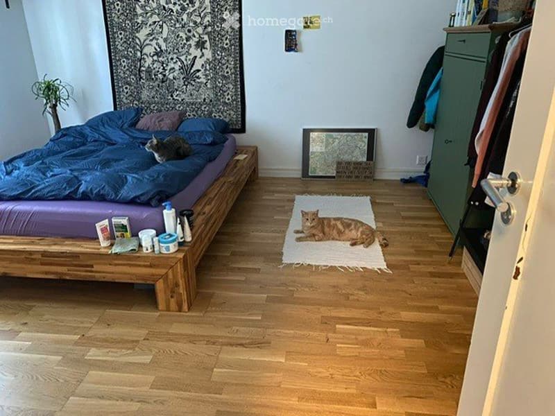 Per 1.10.2026, ruhige 2,5 Zimmerwohnung in Bümpliz (5)