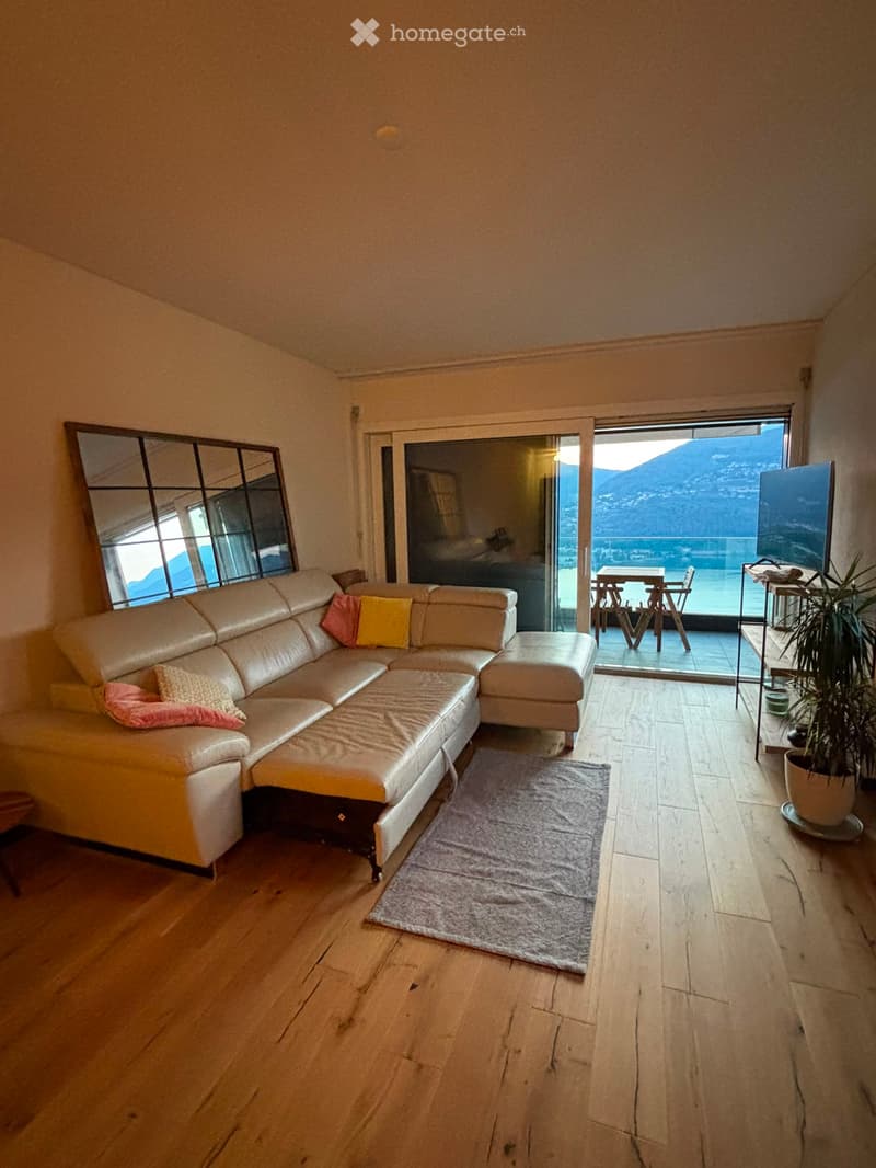 Appartamento con spettacolare vista lago (2)