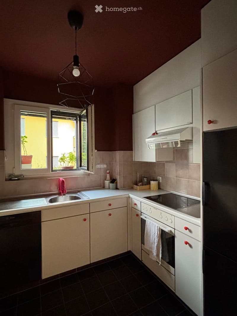 Appartamento con spettacolare vista lago (4)
