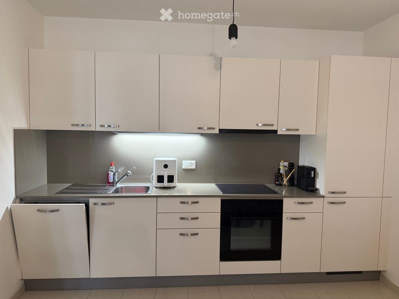 Appartamento arredato di 2.5 locali con balcone (3)