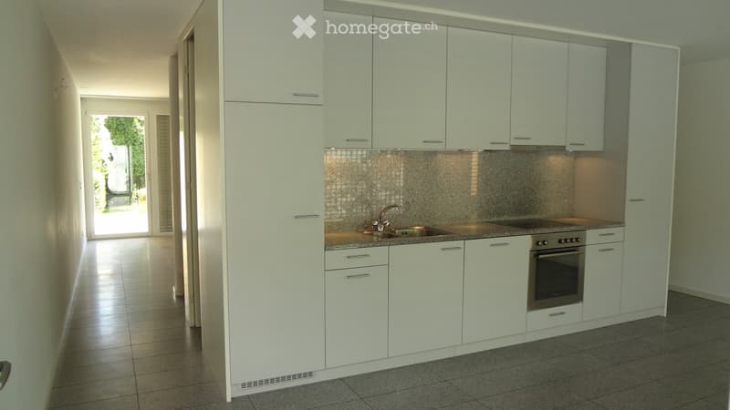 Soleggiato Triplex a Ponte Capriasca (2)