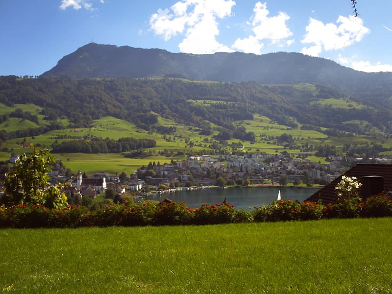 Ihr neues Zuhause: Schönste Aussicht an ruhiger Lage! (1)