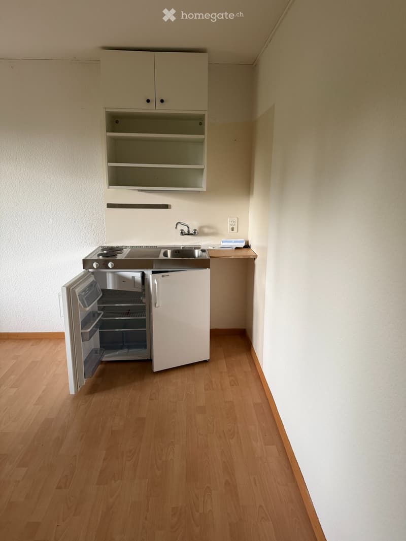 Helles Studio Zollikon - Haltestelle Rehalp vor der Haustüre (2)