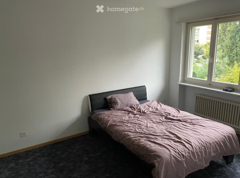 Nachmieter gesucht (5)