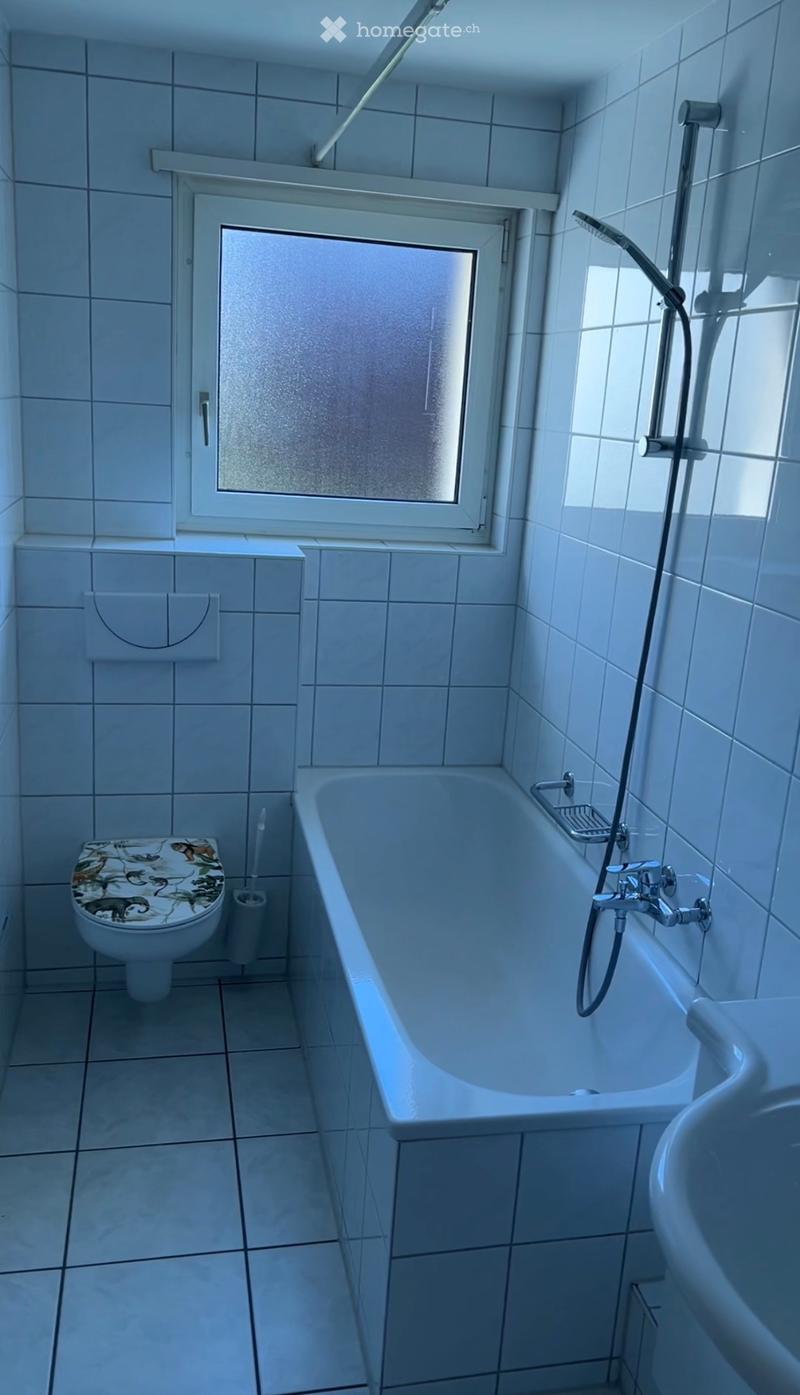 Nachmieter gesucht 3 Zimmer Wohnung + Balkon 4123 Allschwil (4)