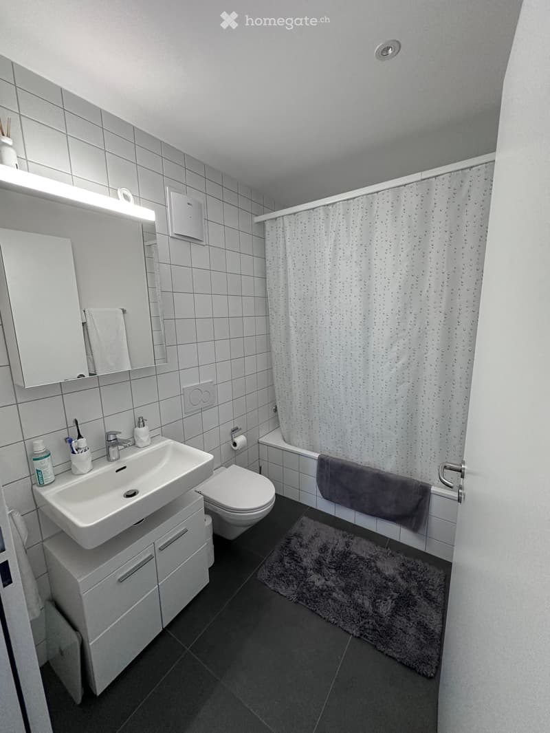 Nachmieter gesucht per 01.01.2027 - 3.5-Zi.-Whg  Luzern (4)