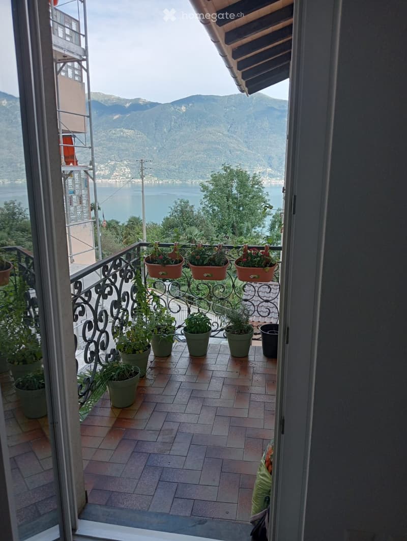 Ronco s/Ascona, appartamento 1.5 senza spese (IT/DE/FR/EN) (3)