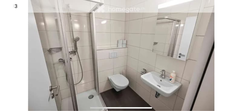 Exklusive 3.5-Zimmer-Dachwohnung (3)