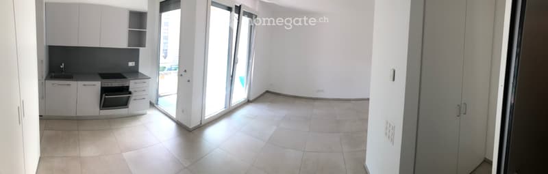 Monolocale Lugano Centro (3)