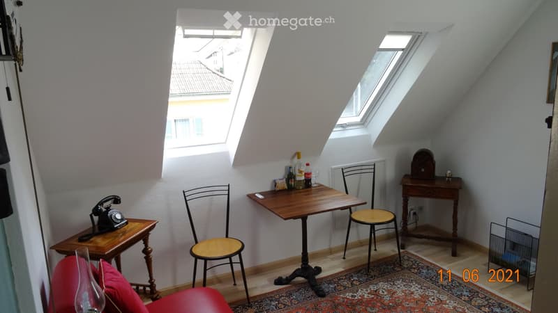 möbilierte 2 1/2 Zimmer Dachwohnung (3)
