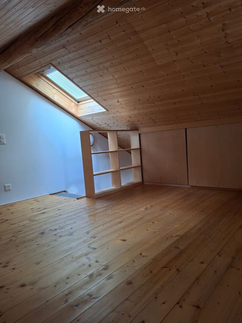 Grazioso appartamento con vista lago a Brissago (3)