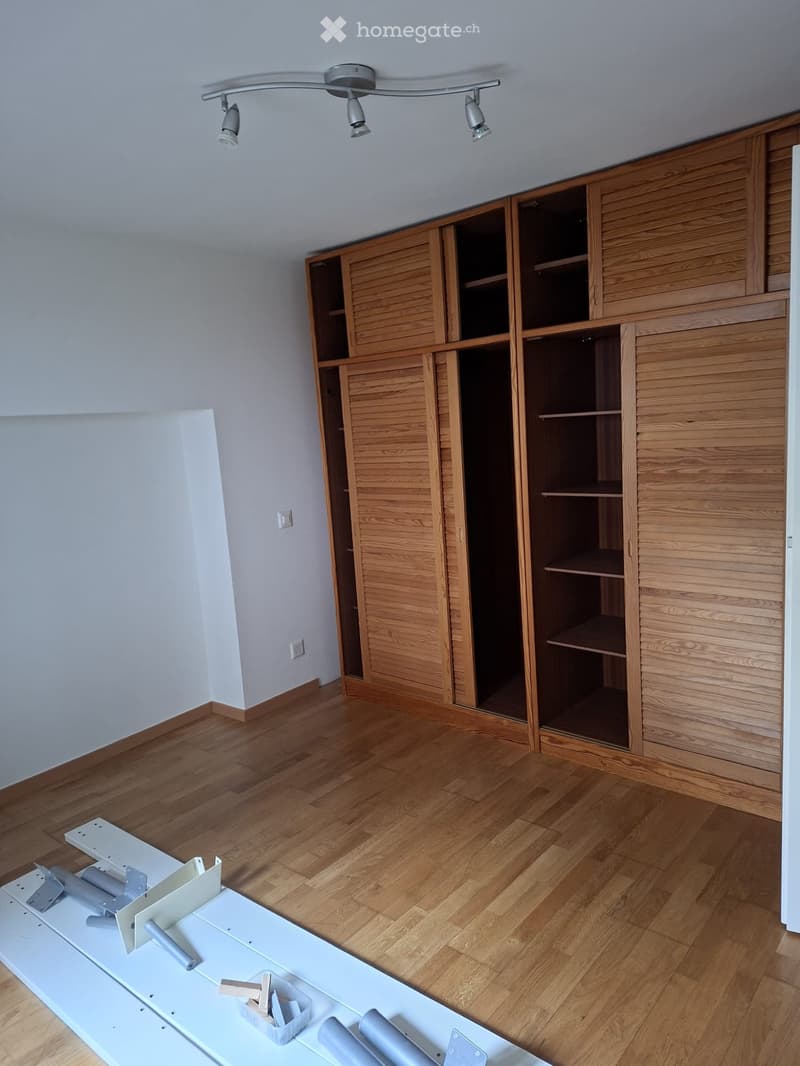 Grazioso appartamento con vista lago a Brissago (2)