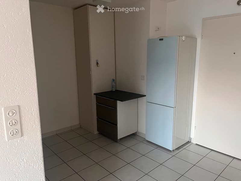 Nachmieter für schöne 2,5 Zi-Wohnung in Dotzigen gesucht (3)